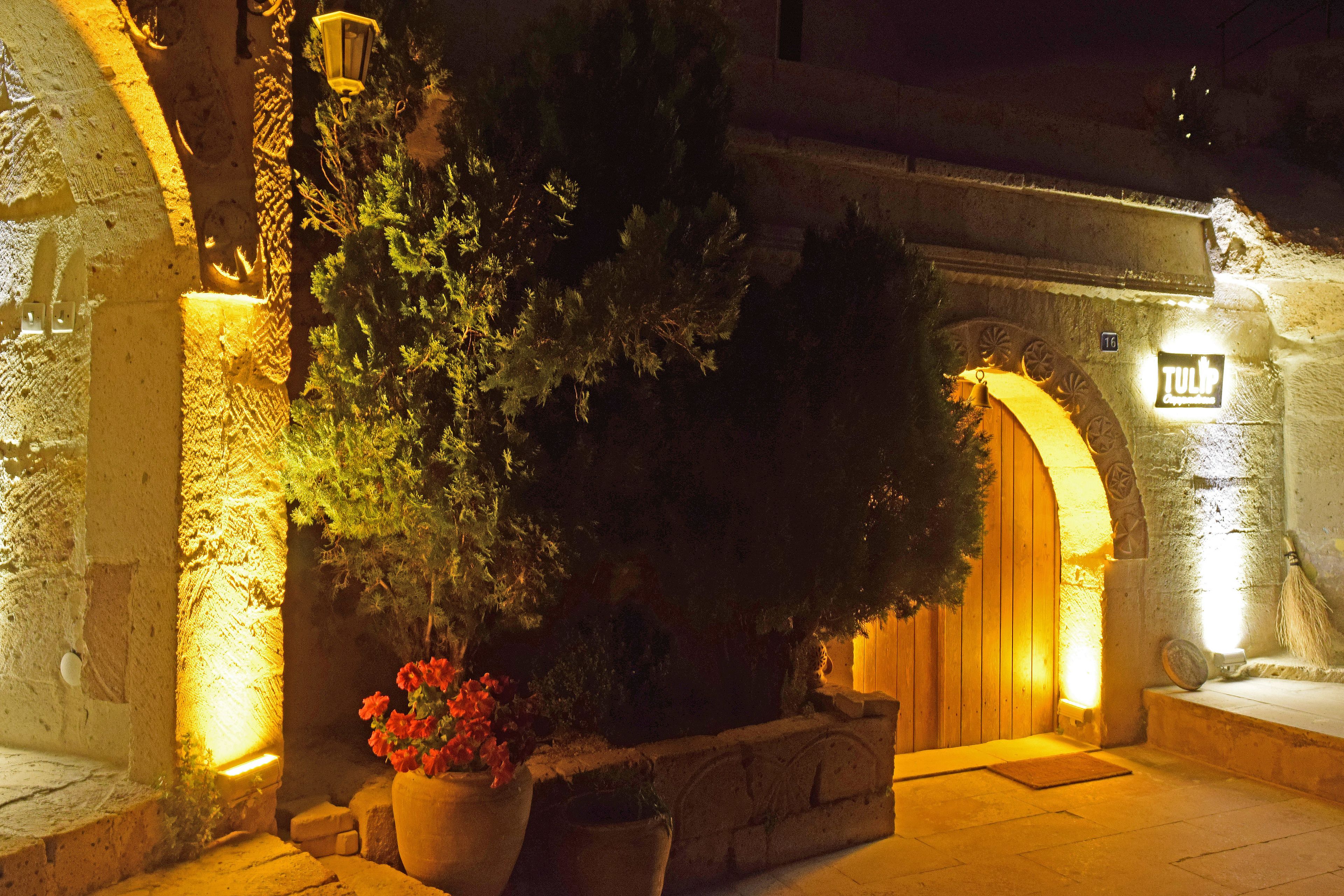 The Tulip Cave Suites