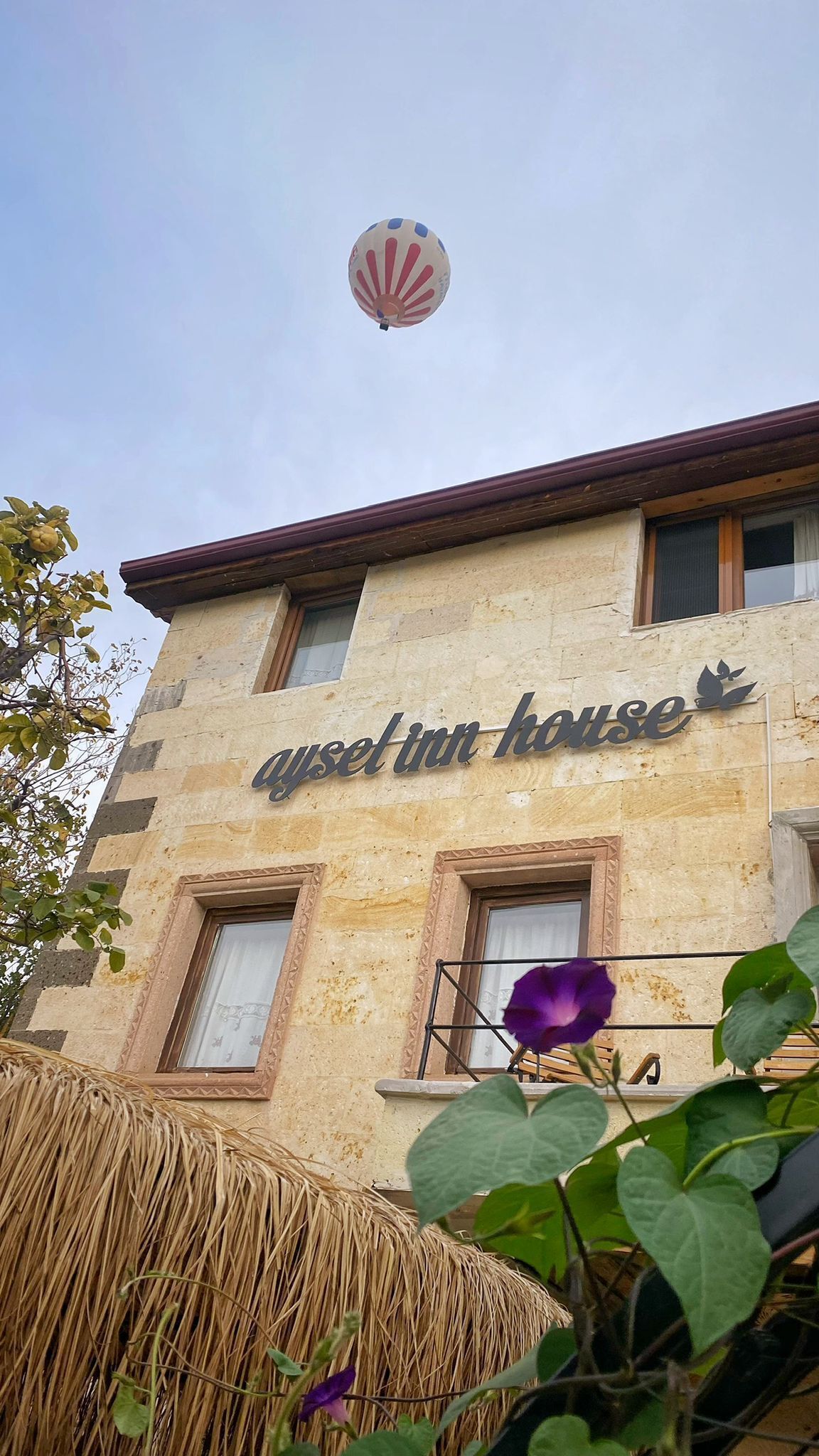 Aysel Inn House