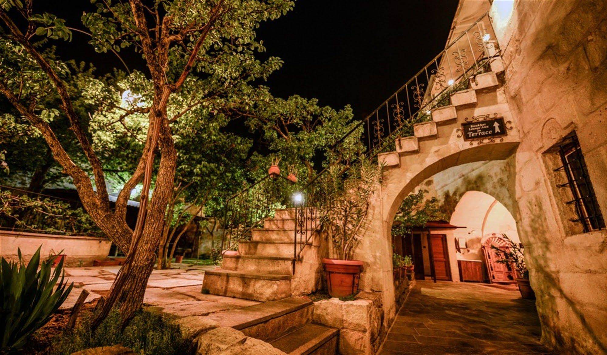 Elysée Cave House