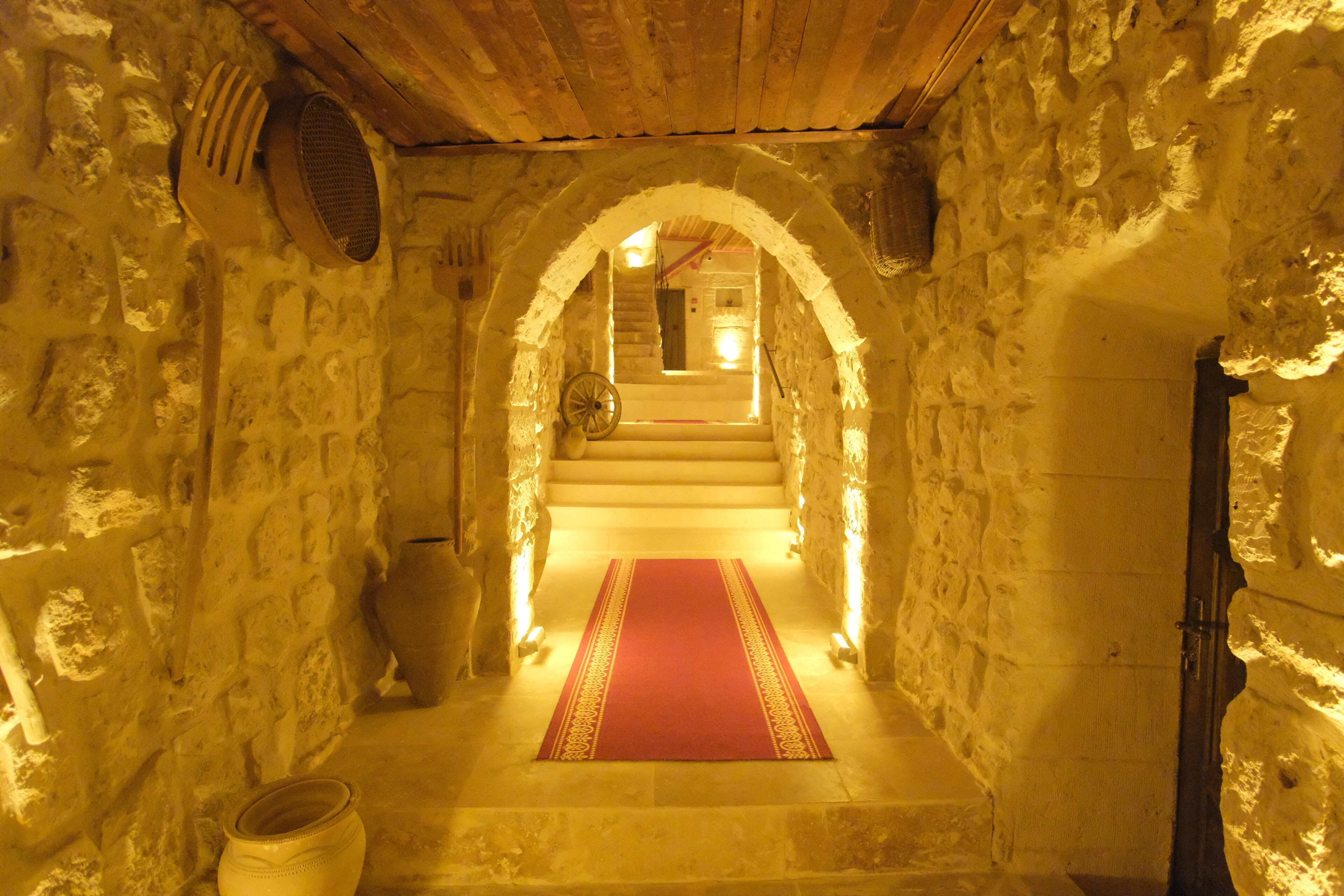 Euphoria Cave House
