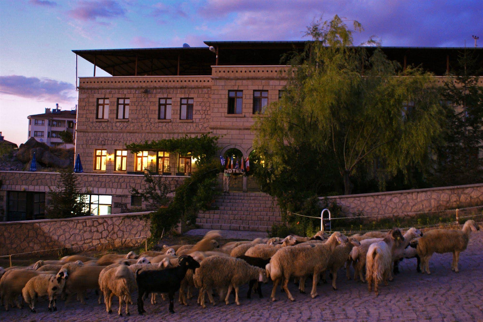 Kapadokya Stonelake Hotel