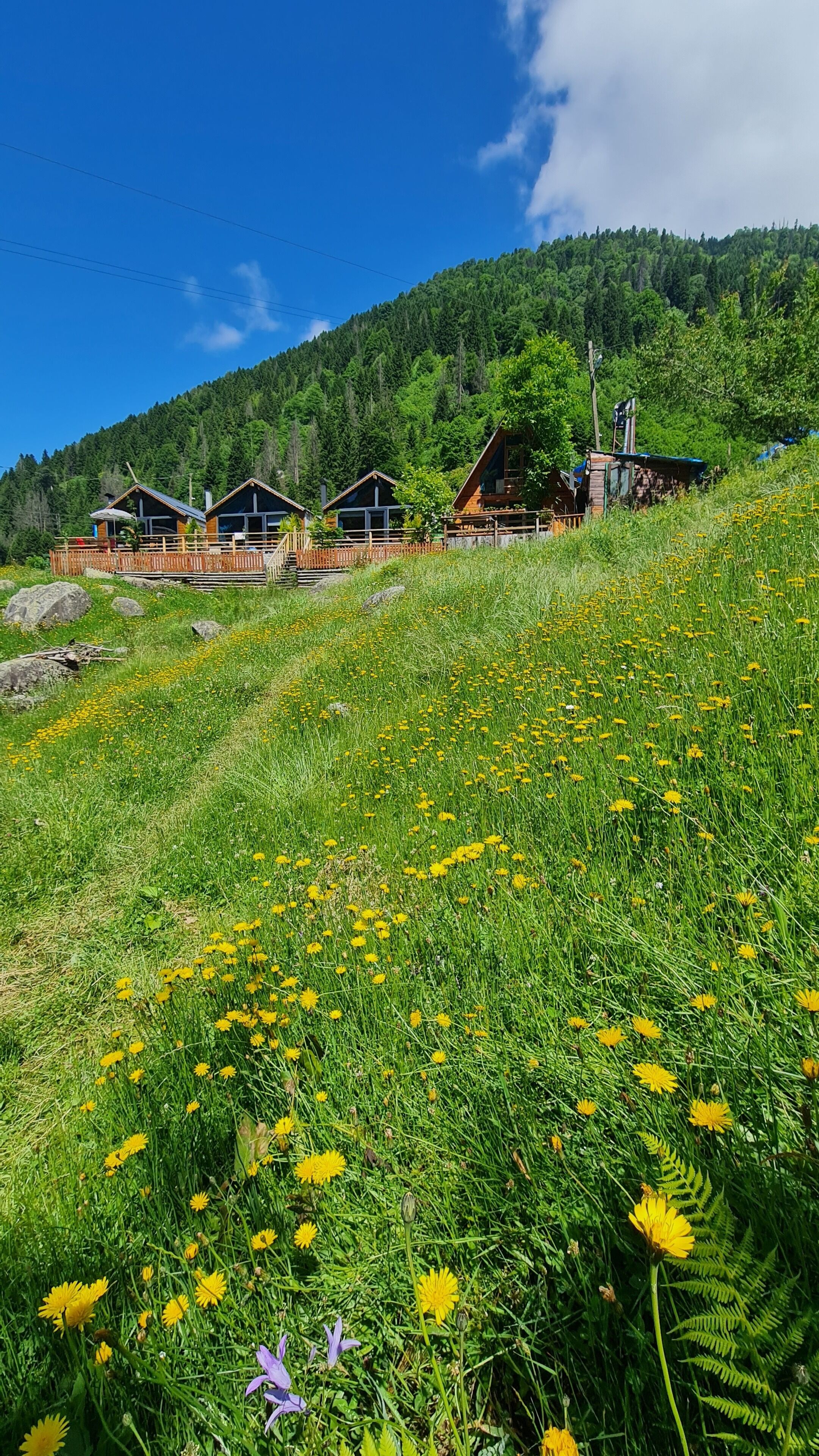 Ayder Yayla Bungalov