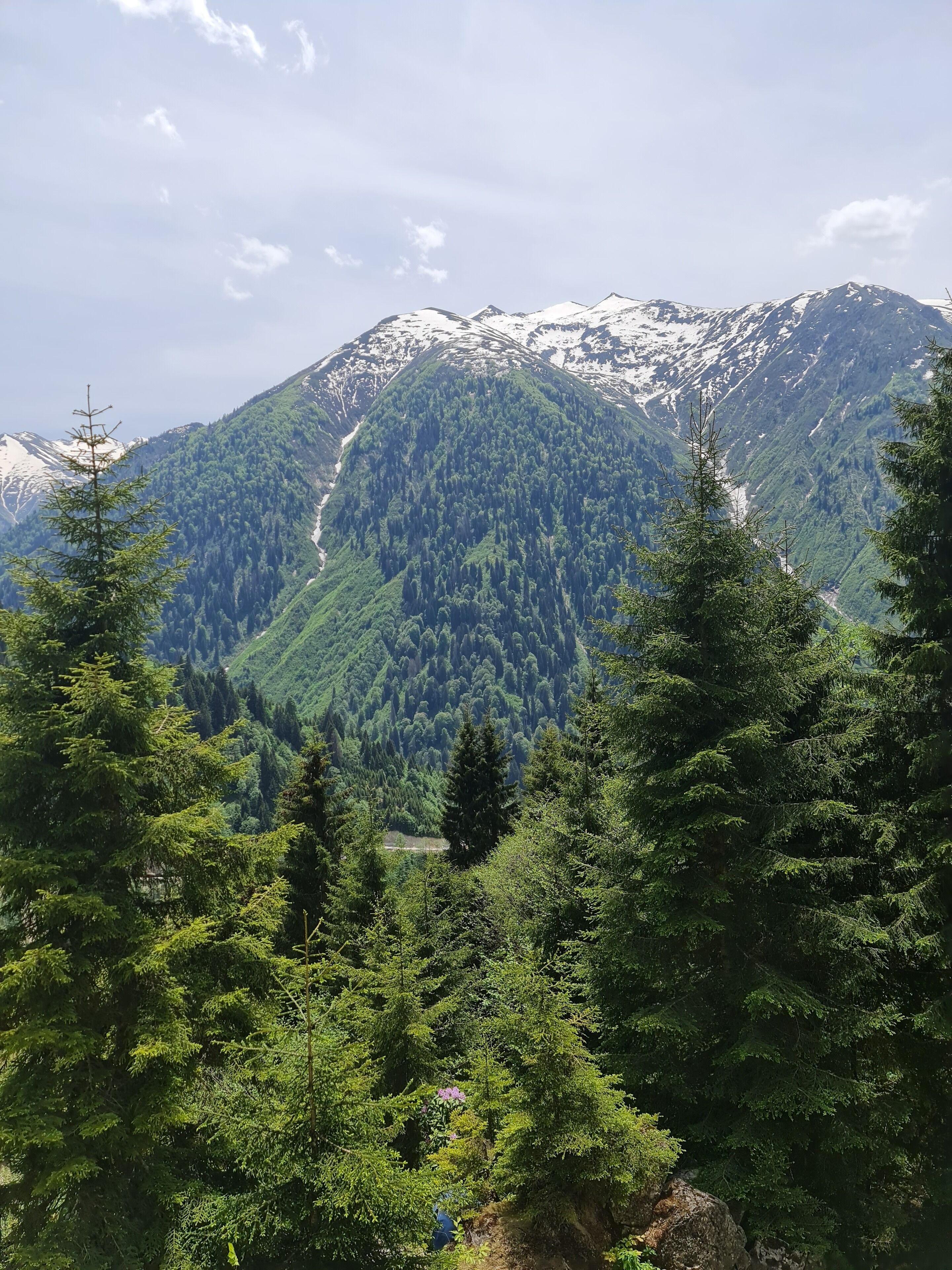 Ayder Yayla Bungalov