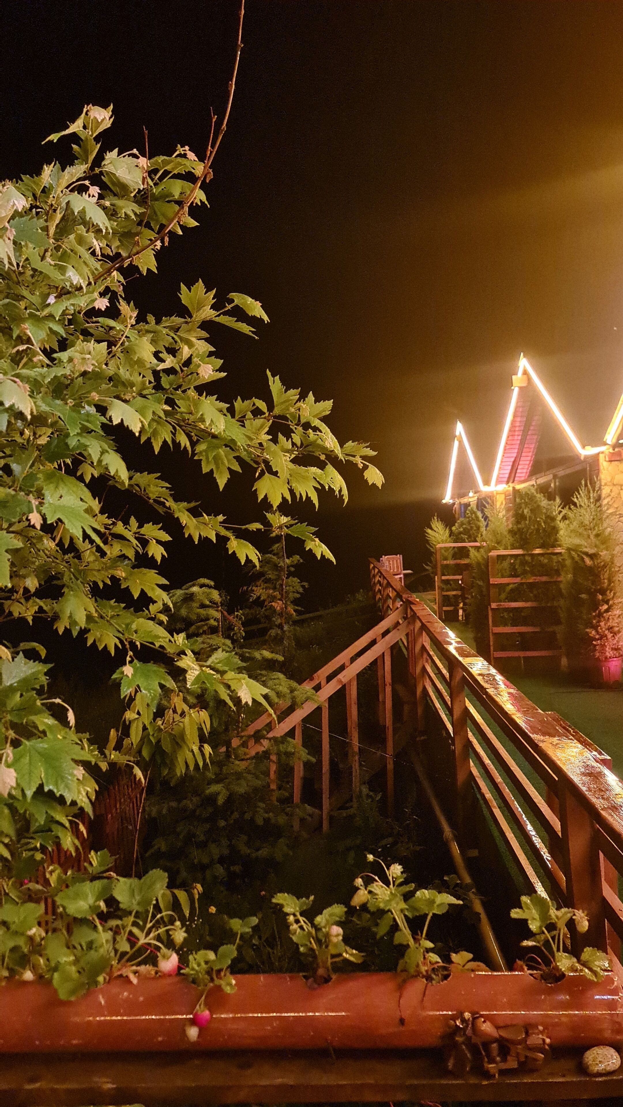 Ayder Yayla Bungalov
