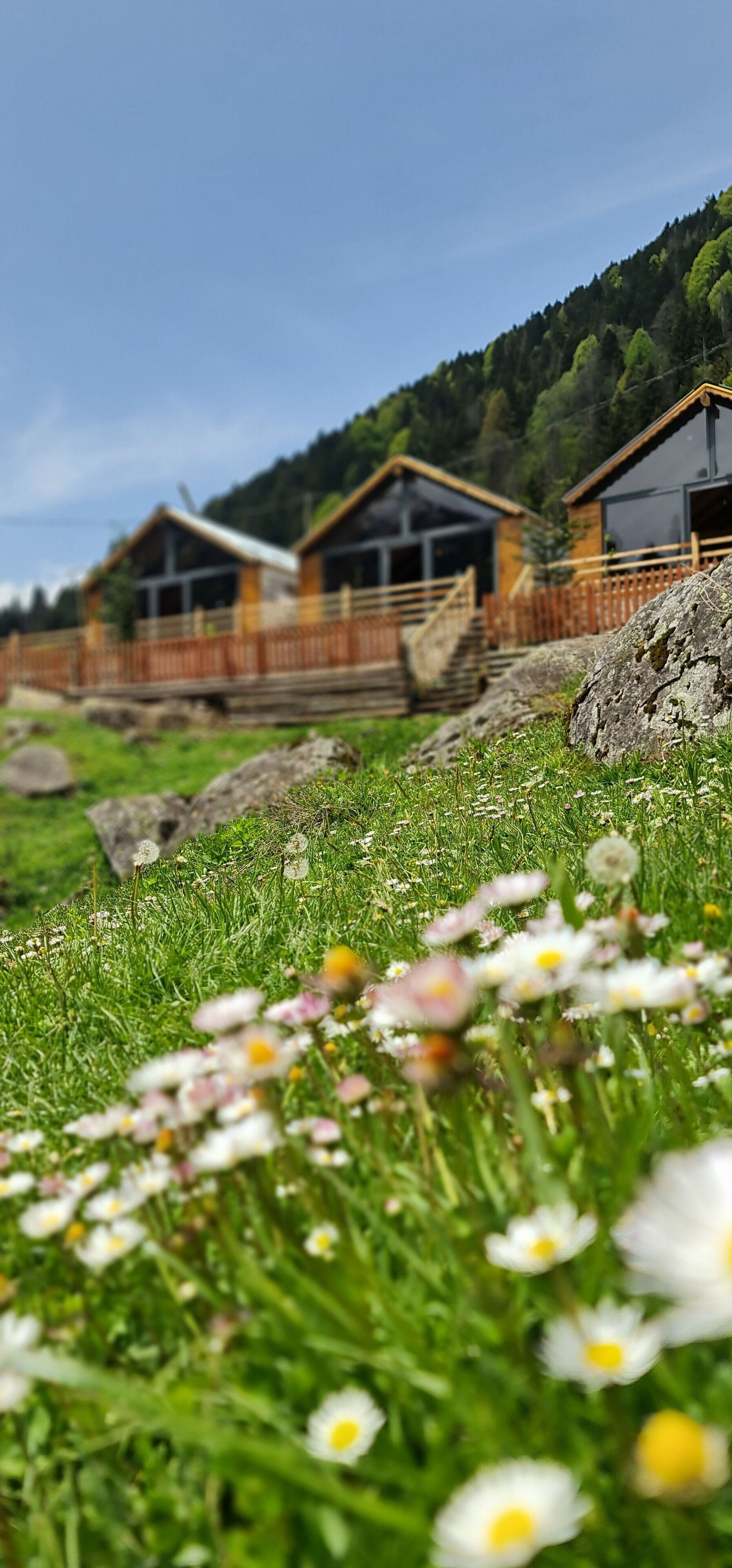 Ayder Yayla Bungalov