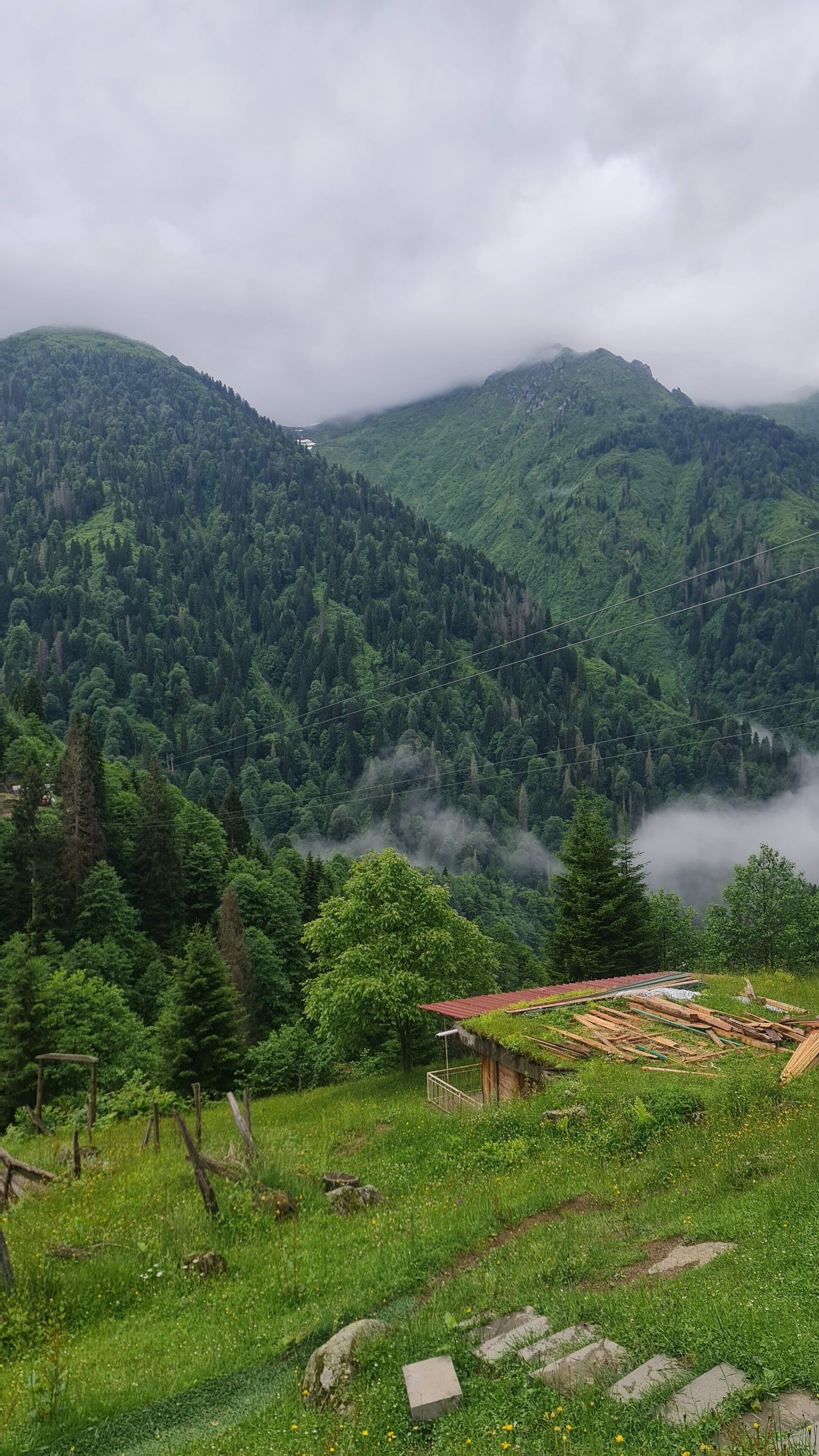 Ayder Yayla Bungalov