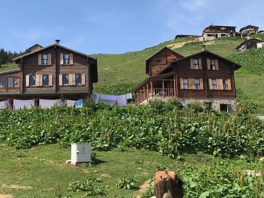 Pokut Inn