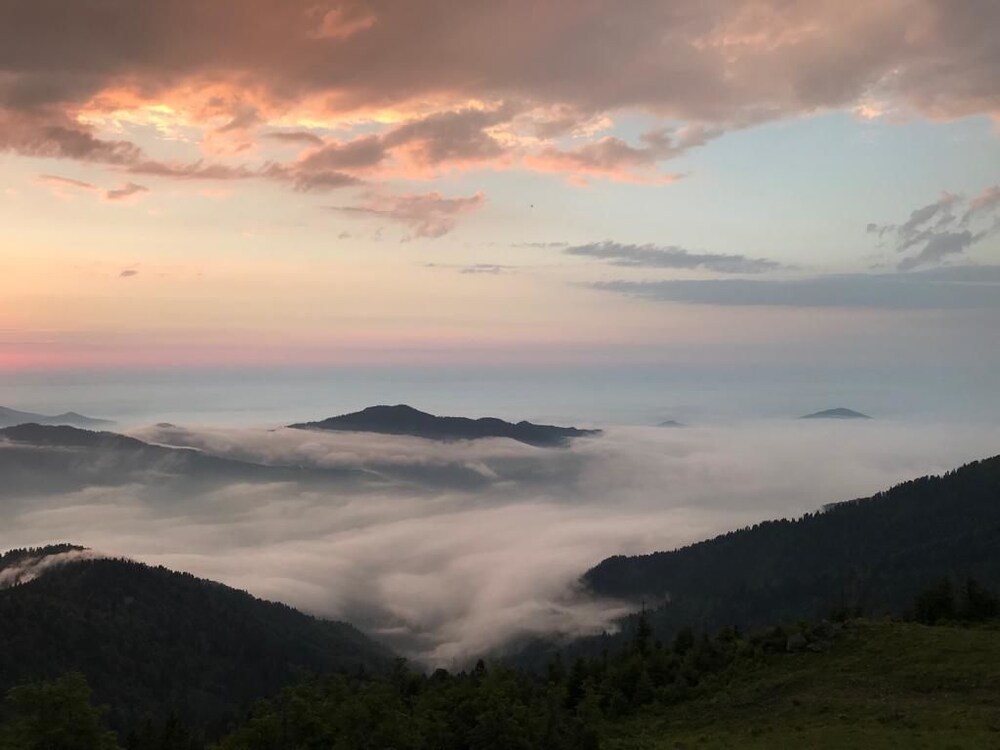 Pokut Inn