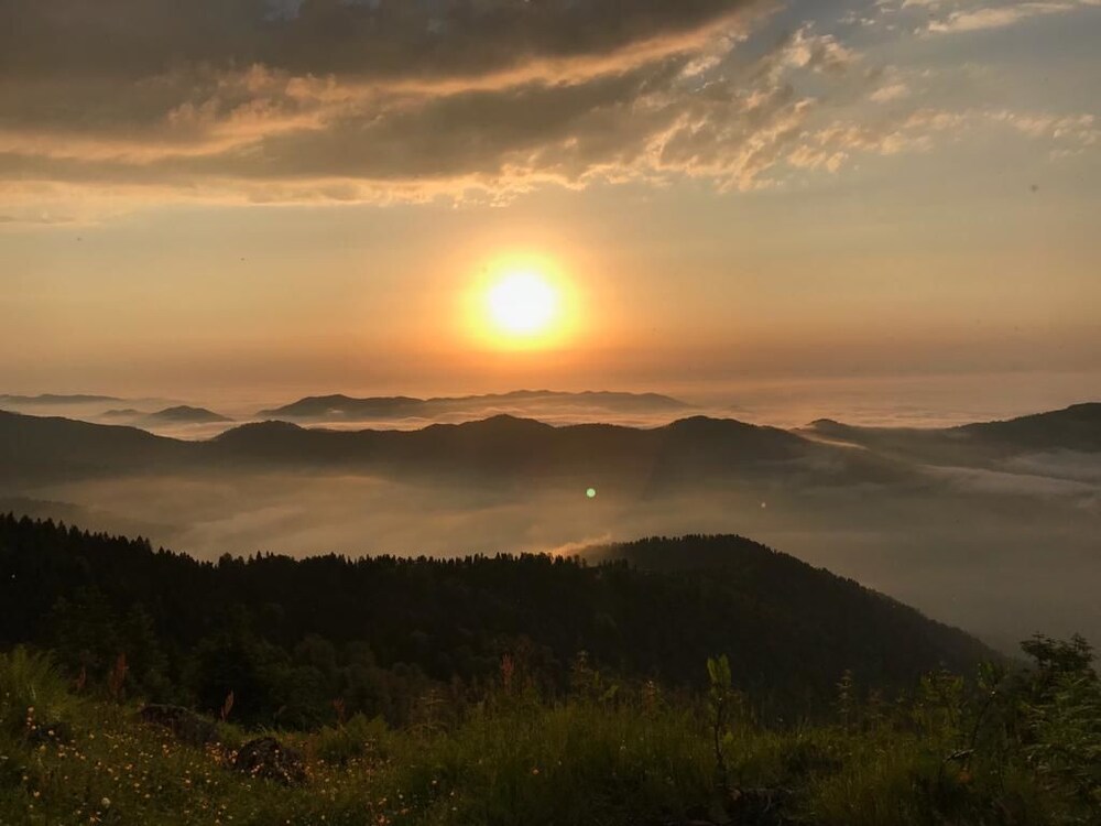 Pokut Inn