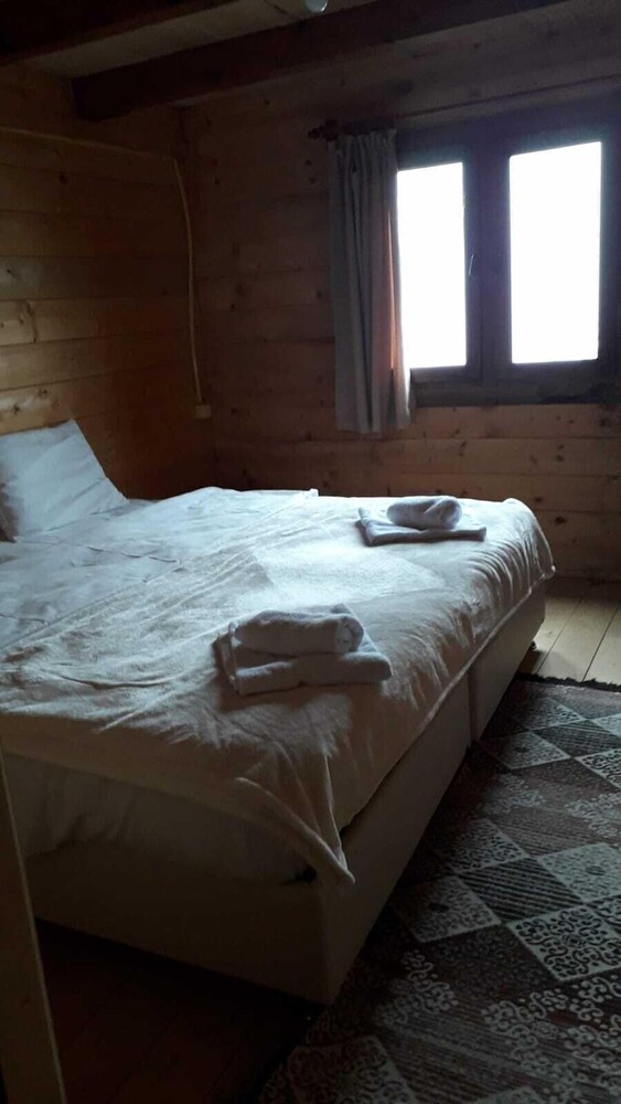 Pokut Orion