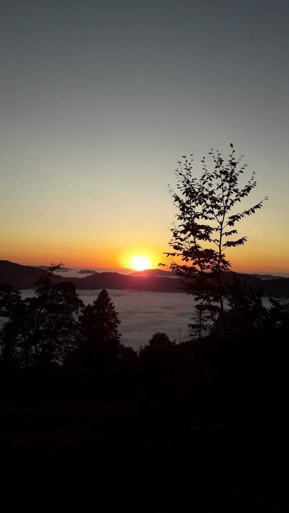 Pokut Orion