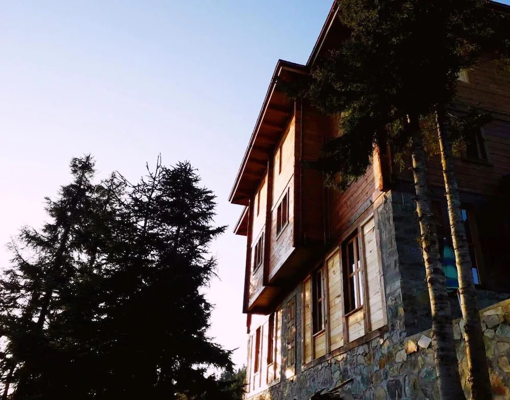 Pokut Orion