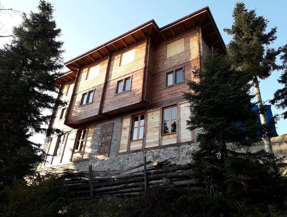Pokut Orion