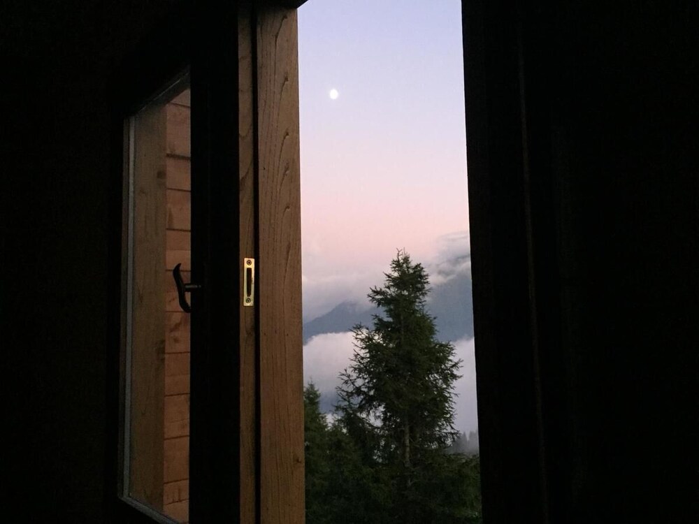 Pokut Orion