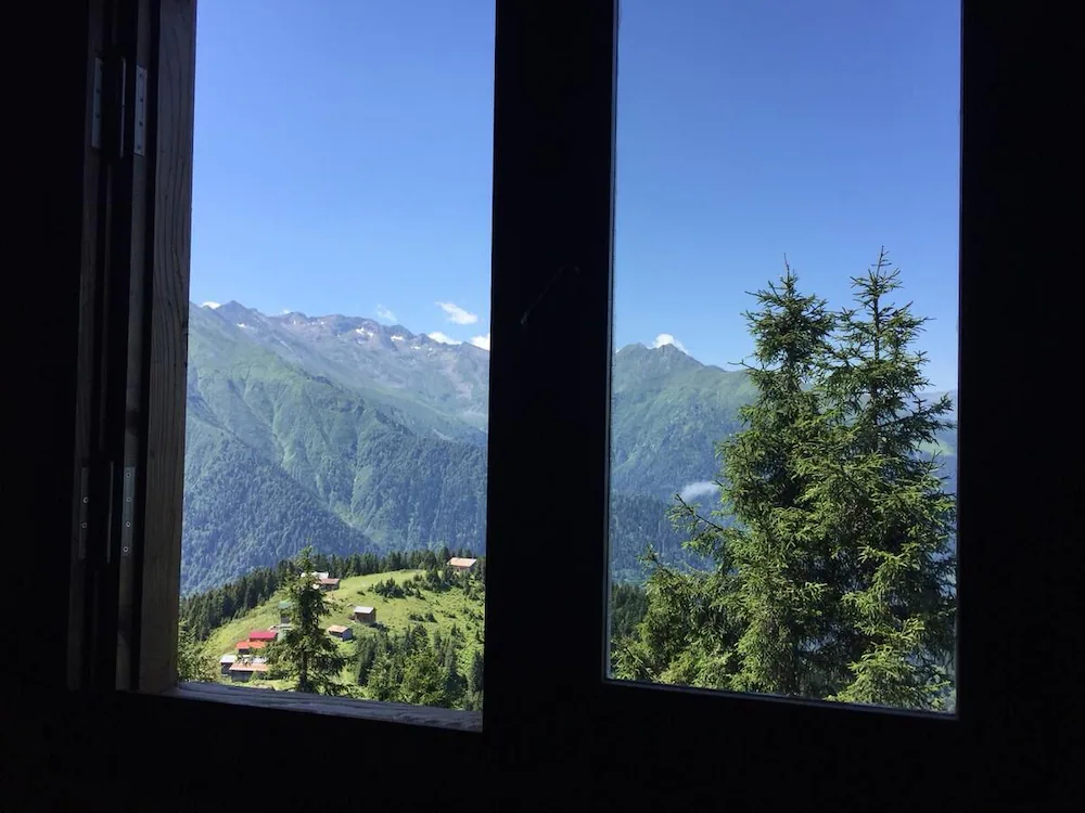 Pokut Orion
