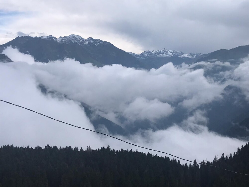 Pokut Orion