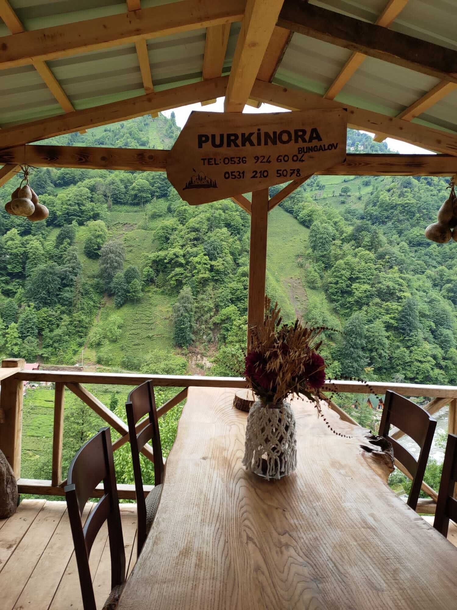 Purkinora Bungalov
