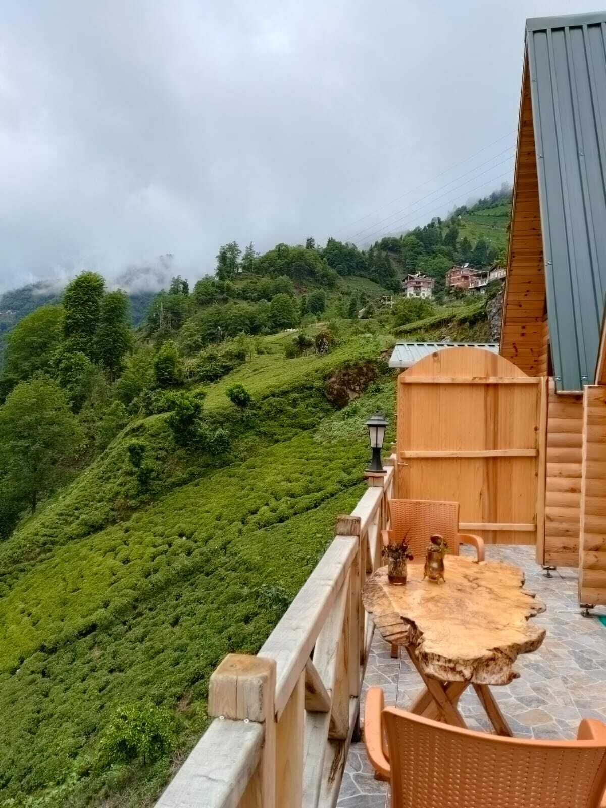 Purkinora Bungalov
