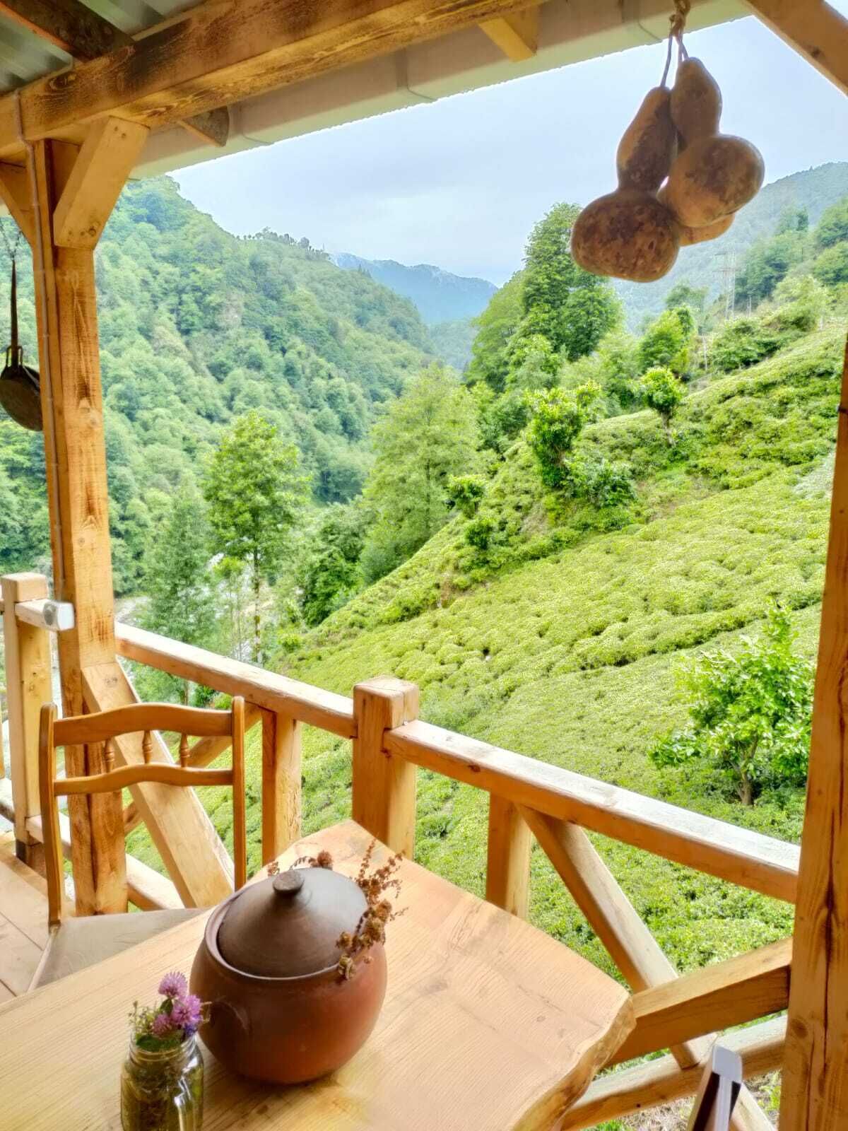 Purkinora Bungalov