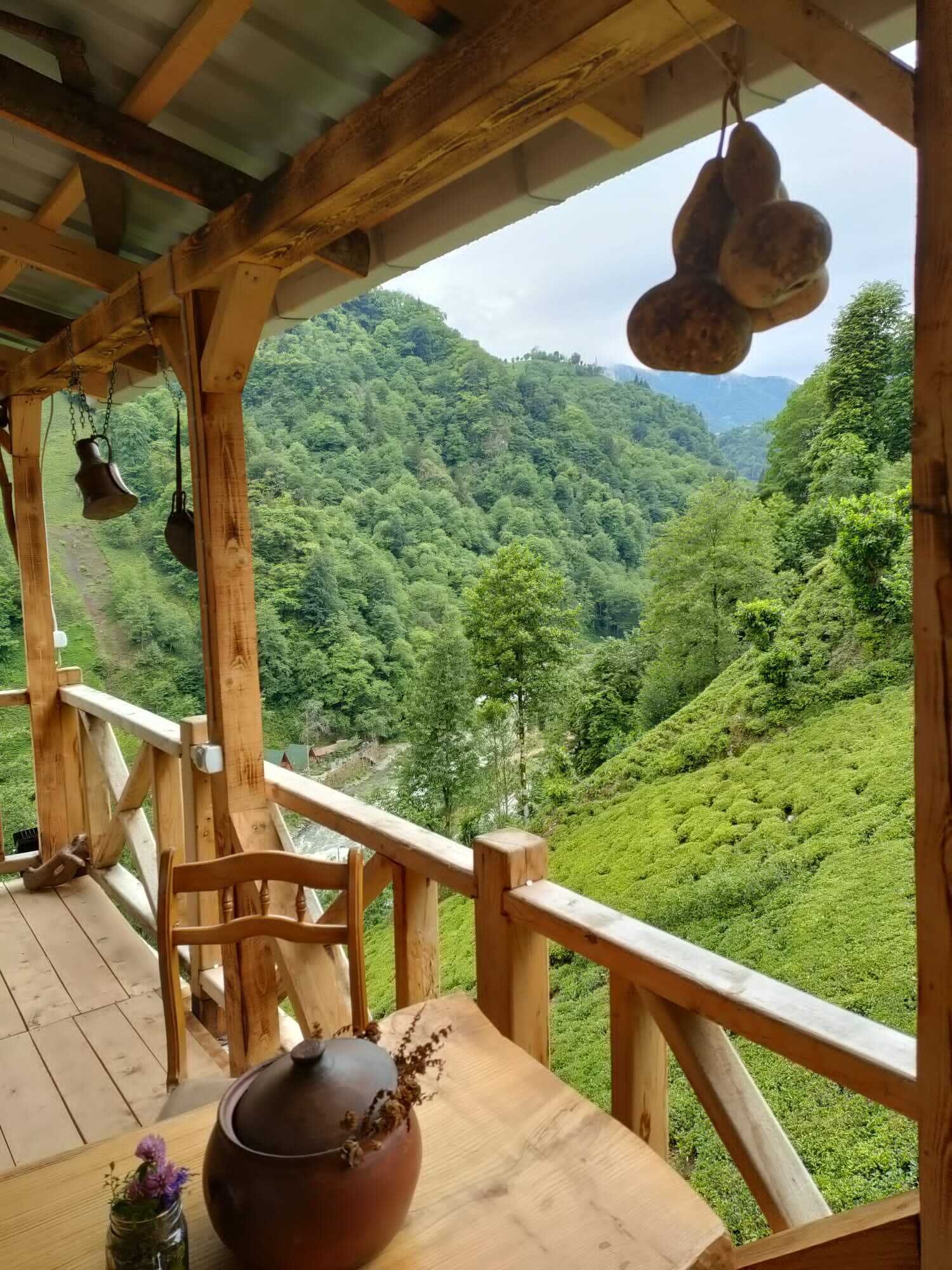 Purkinora Bungalov