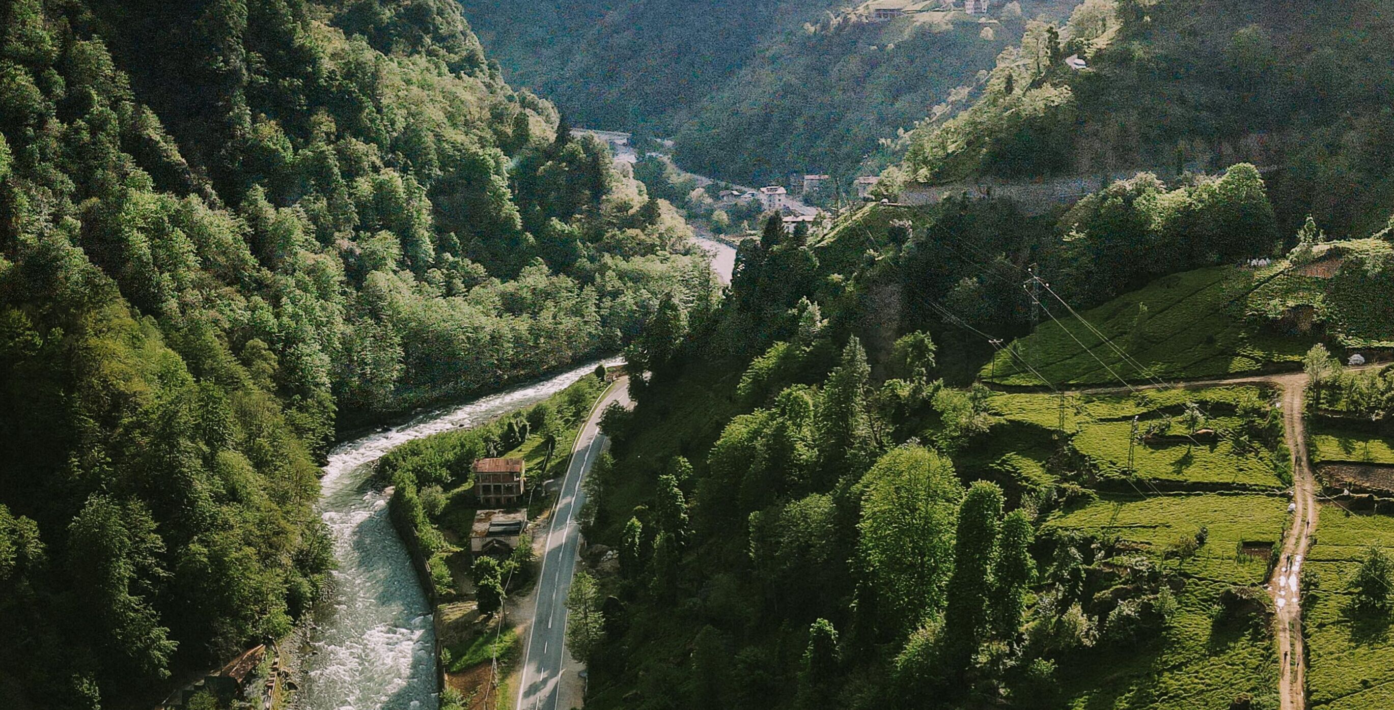 Purkinora Bungalov