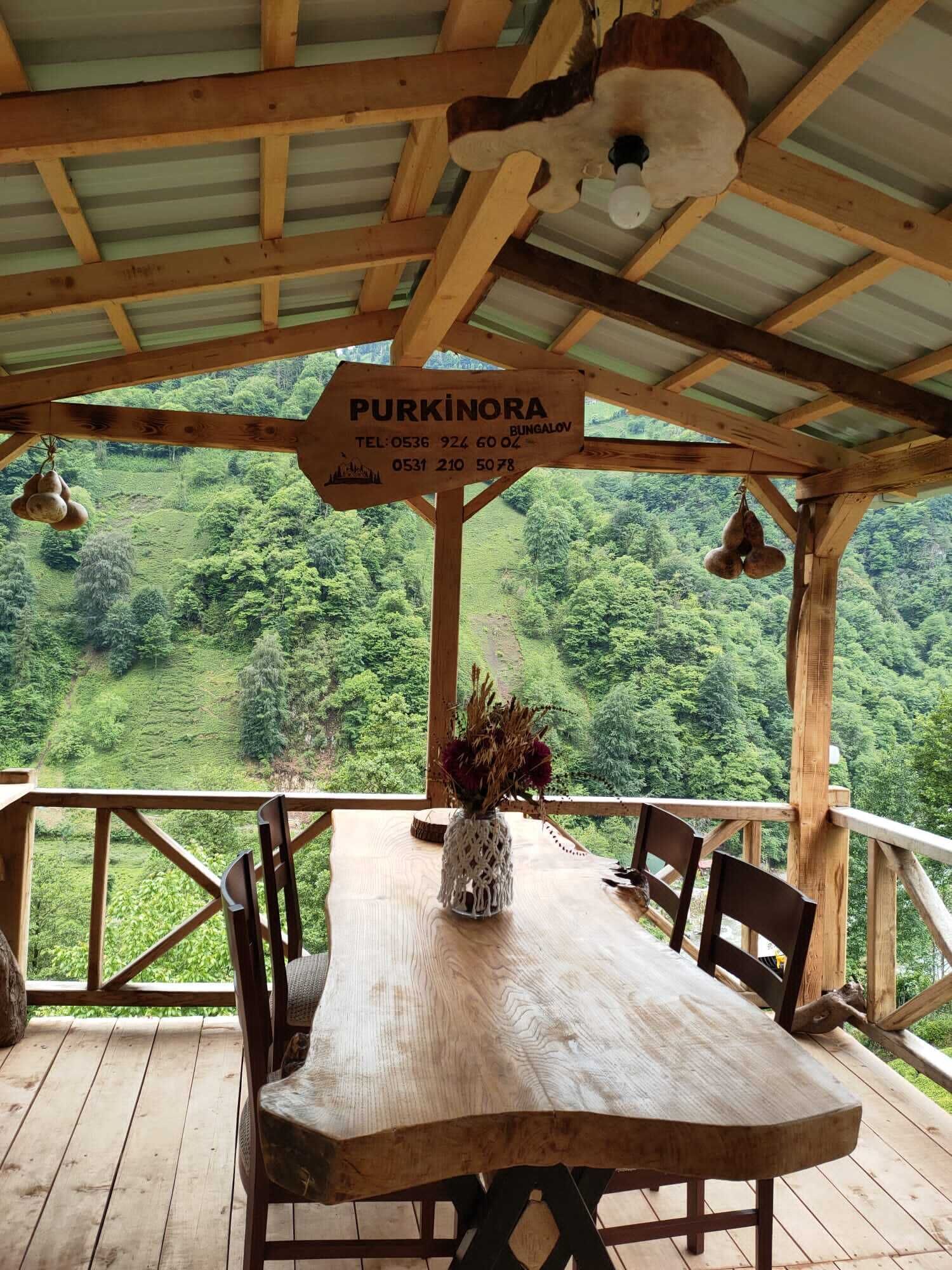 Purkinora Bungalov