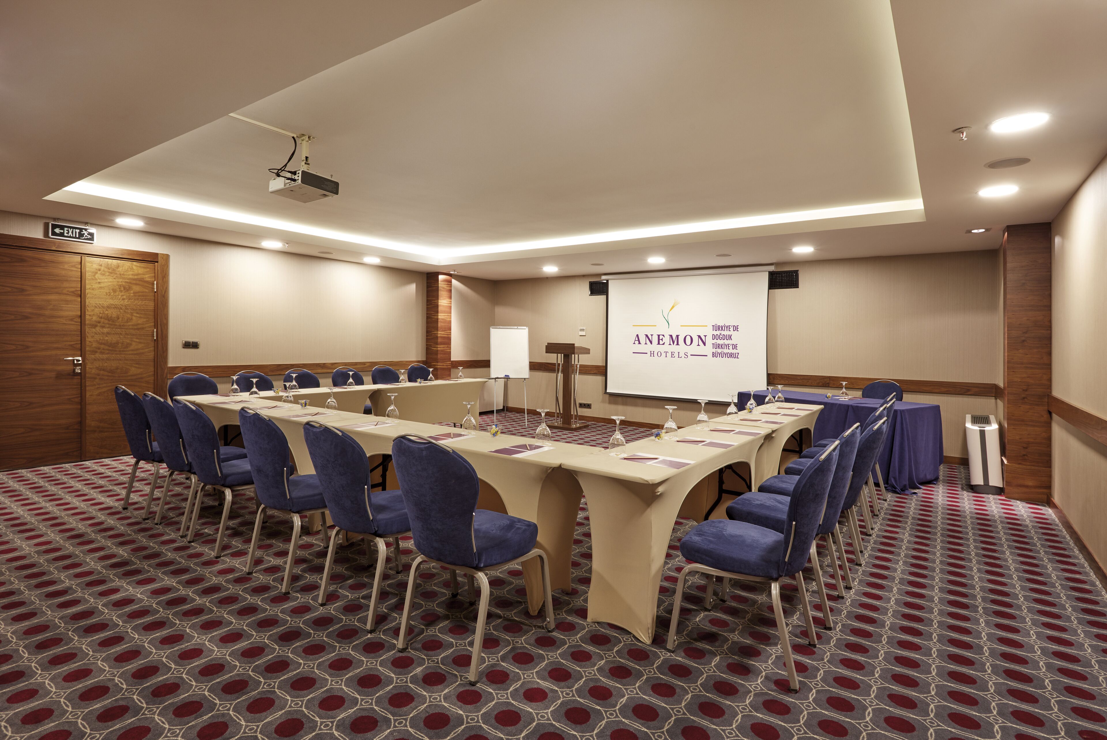Anemon Ankara
