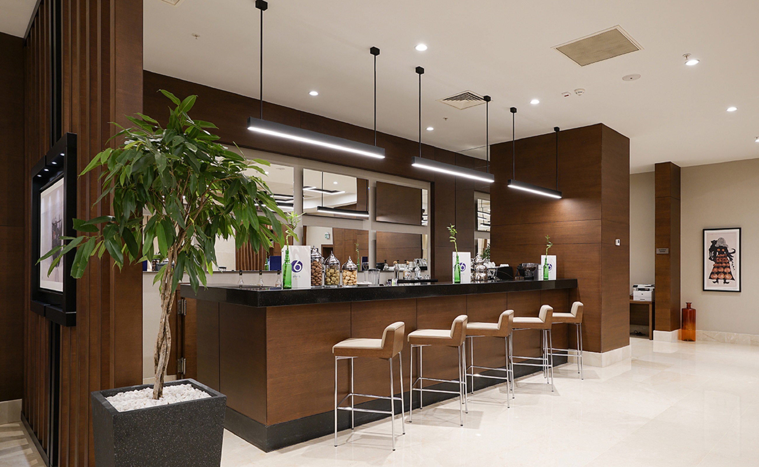Radisson Blu Hotel Ankara Cankaya