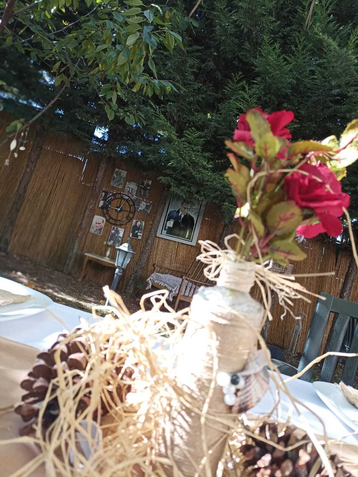 Turgan Butik Villa