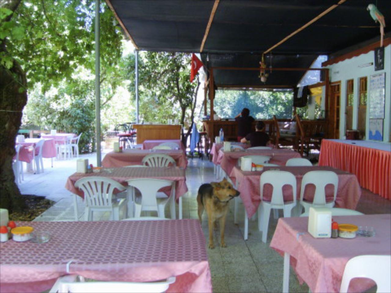 Gelidonya Hotel
