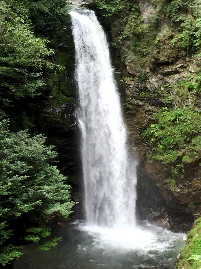 Ayder Cise Dag Evleri