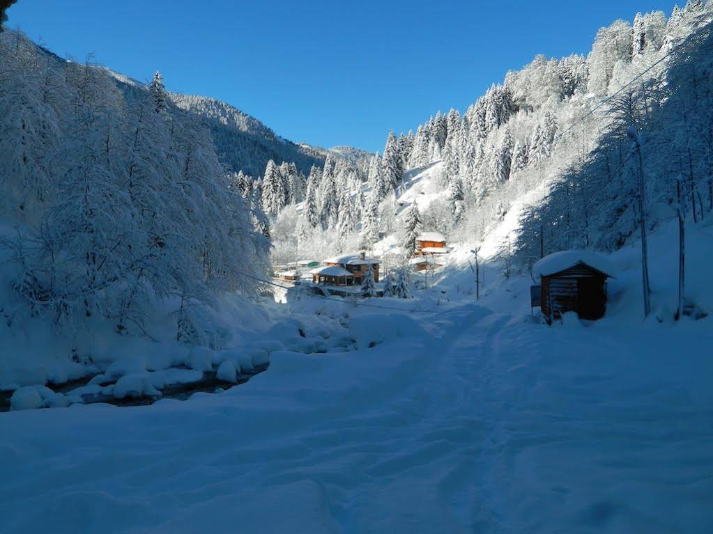 Ayder Elizan Hotel