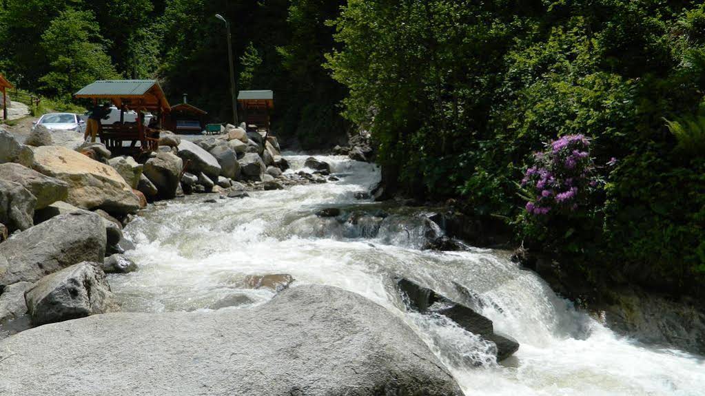 Ayder Elizan Hotel