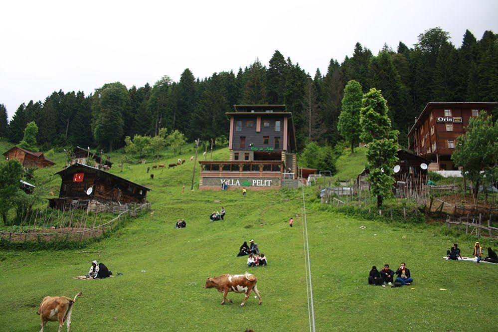 Ayder Villa de Pelit Hotel