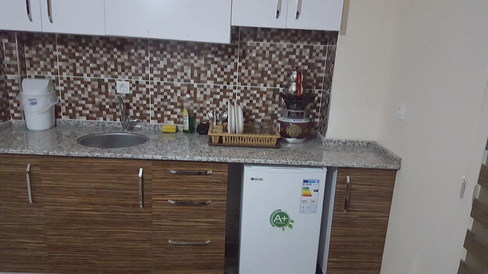 Luxury Home Aydin Gunluk Ev