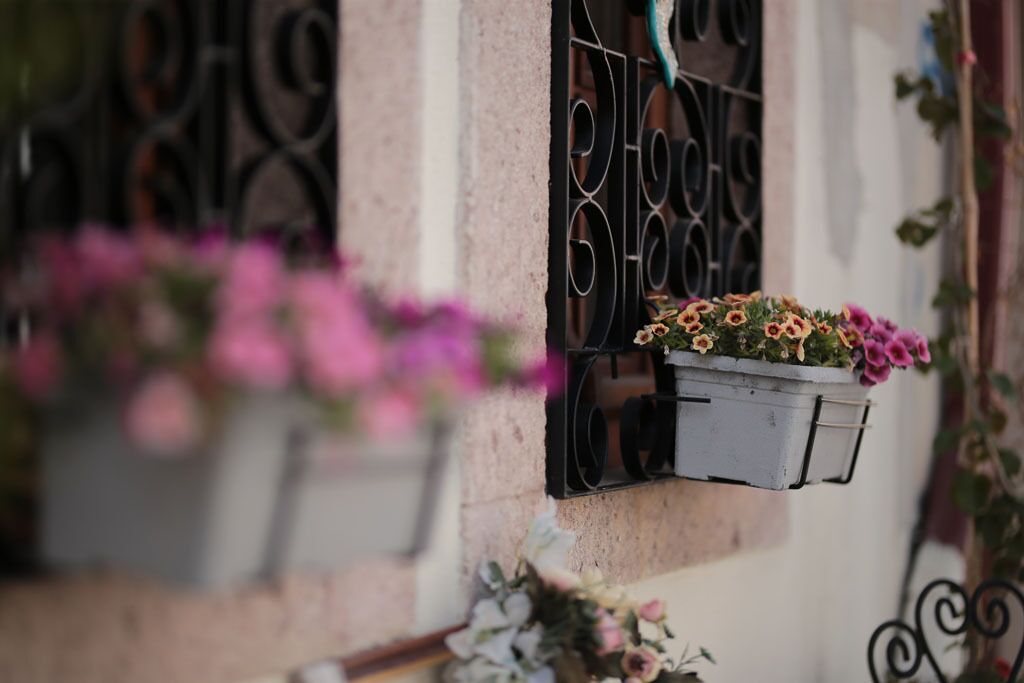 Ayvalik Palacitta Guesthouse