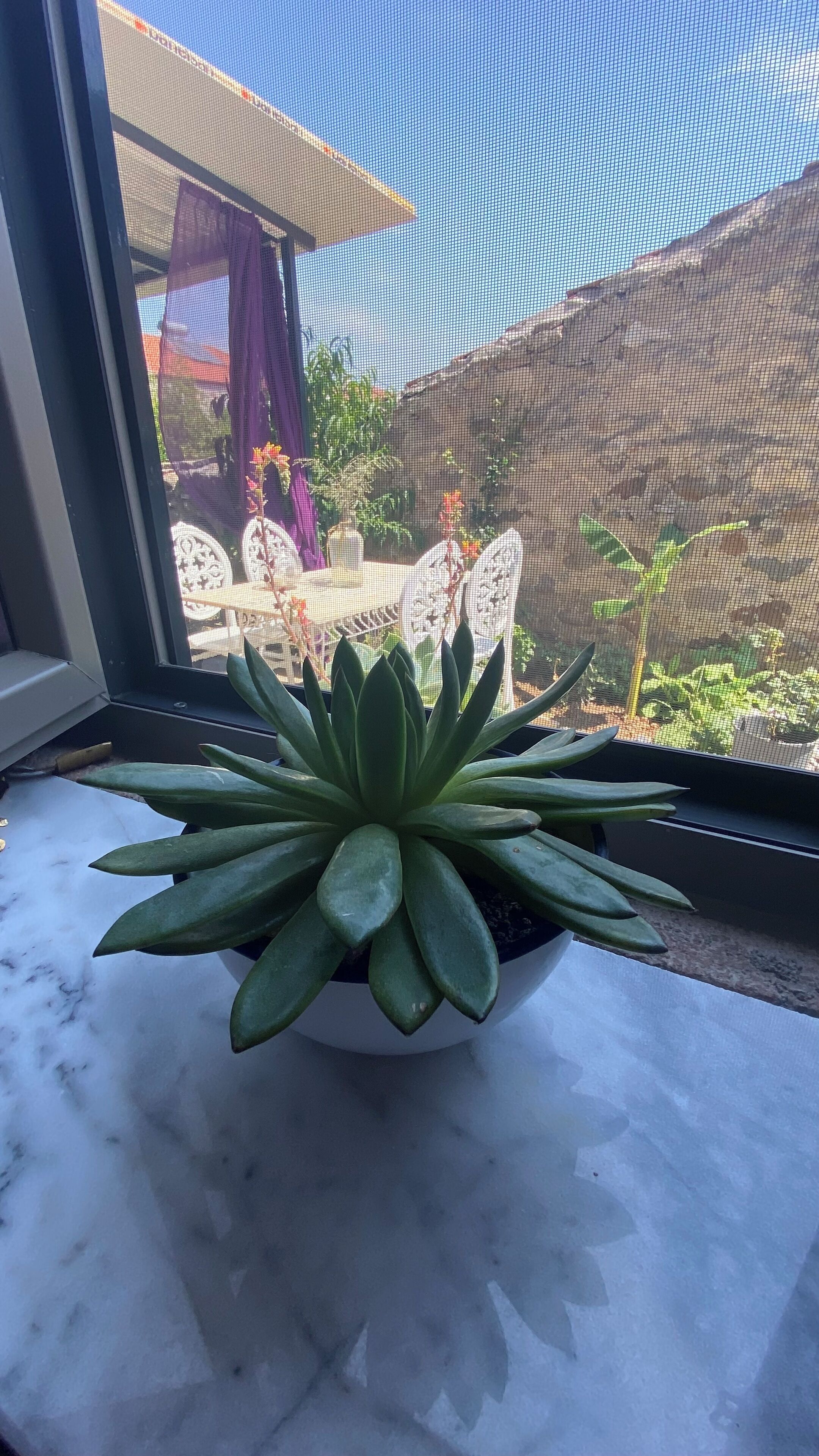 Masal Kucukkoy Boutique Hotel
