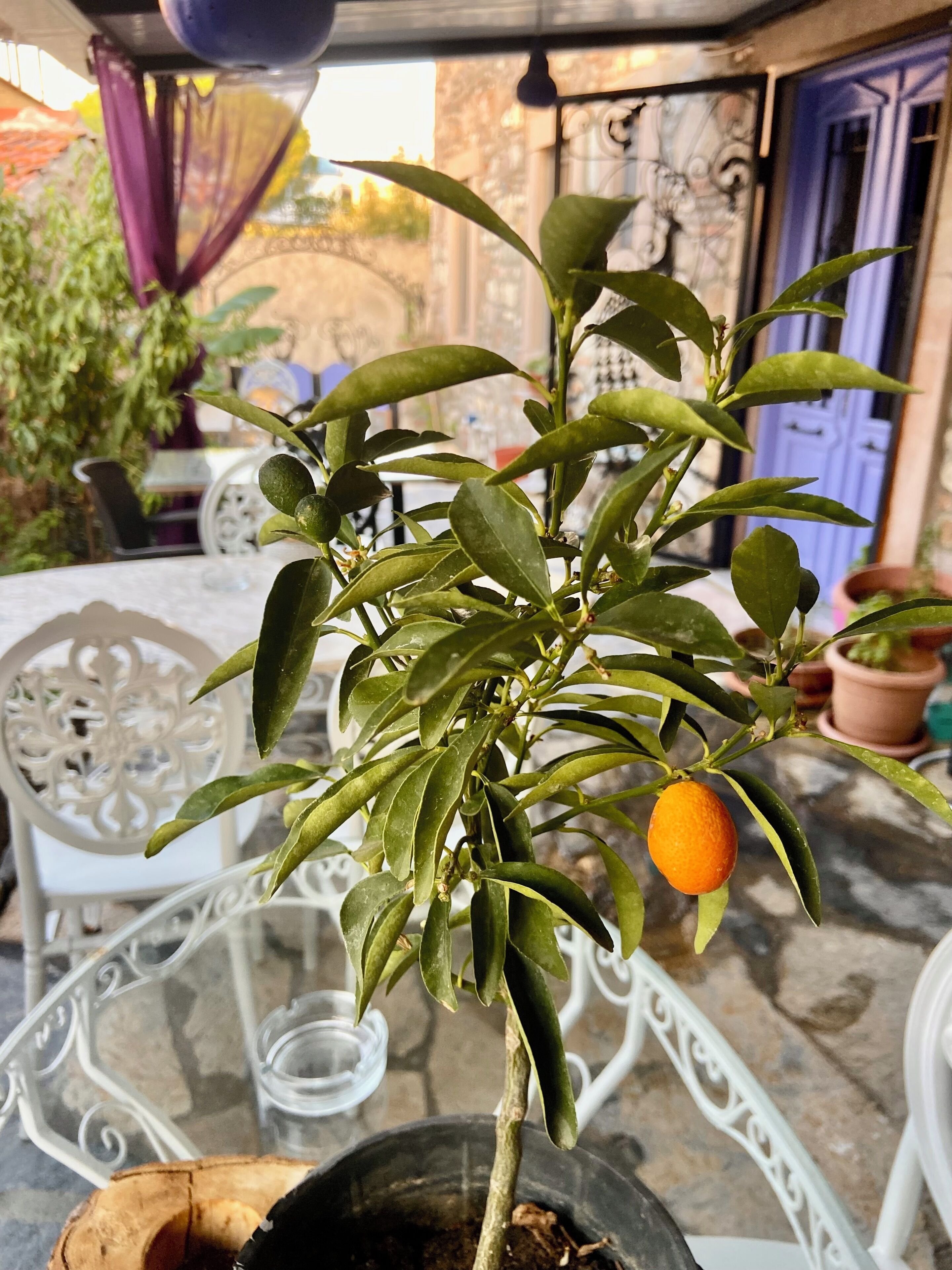 Masal Kucukkoy Boutique Hotel
