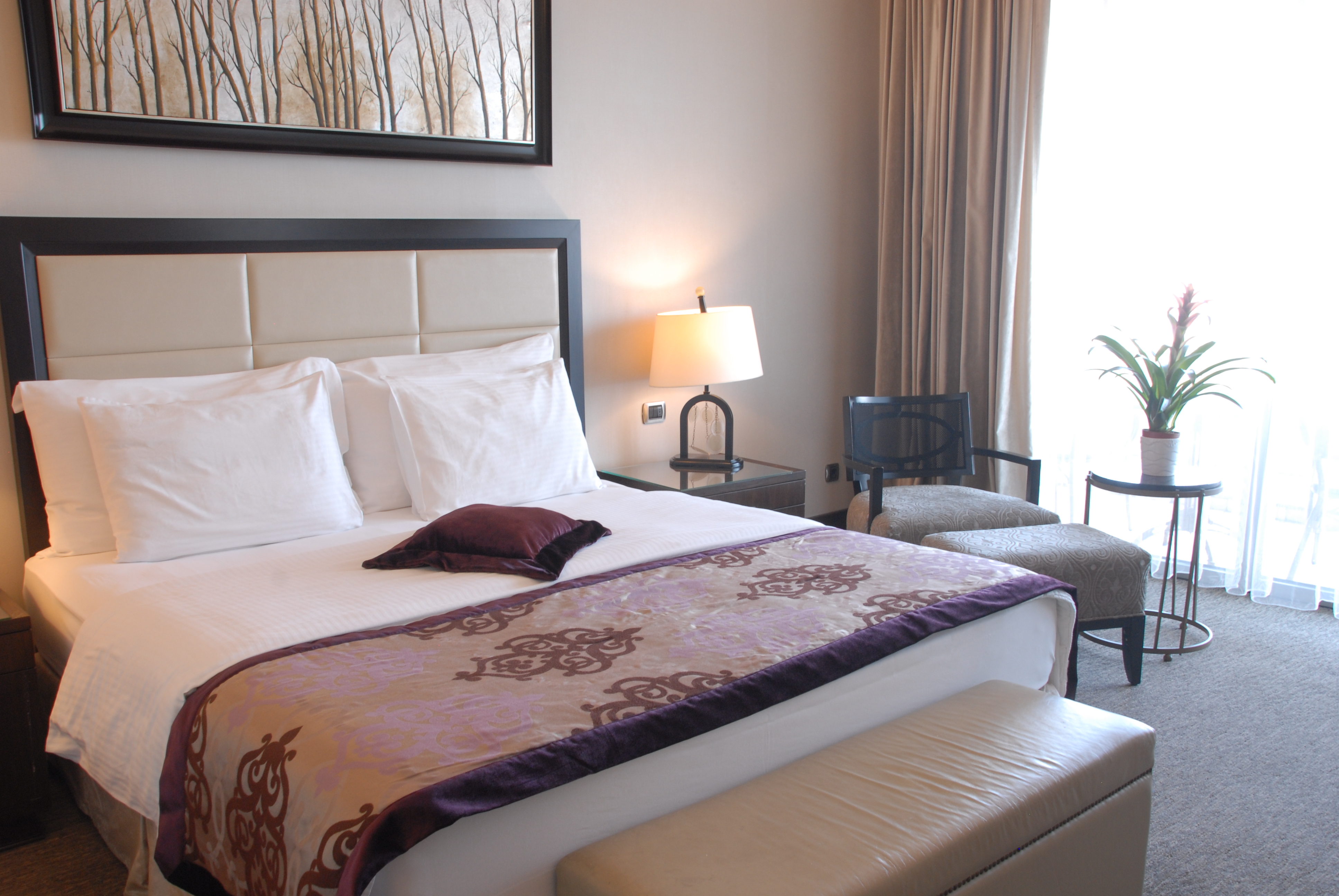 Celik Palas Convention Center & Thermal Spa