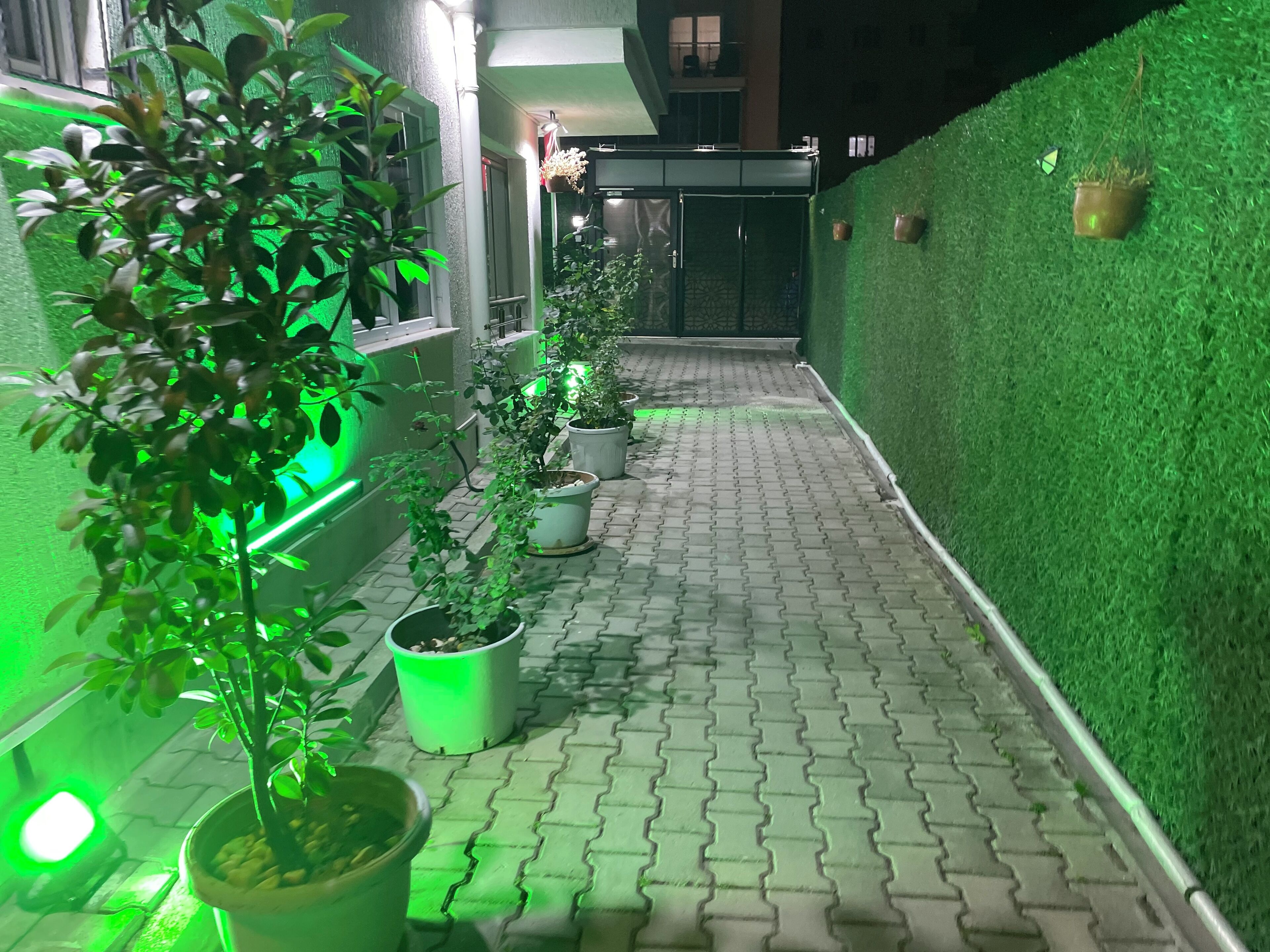 Paradise Pansiyon