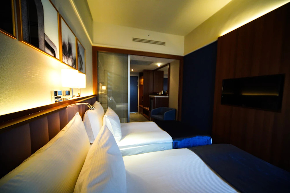 Four Points Flex by Sheraton Bursa Nilufer