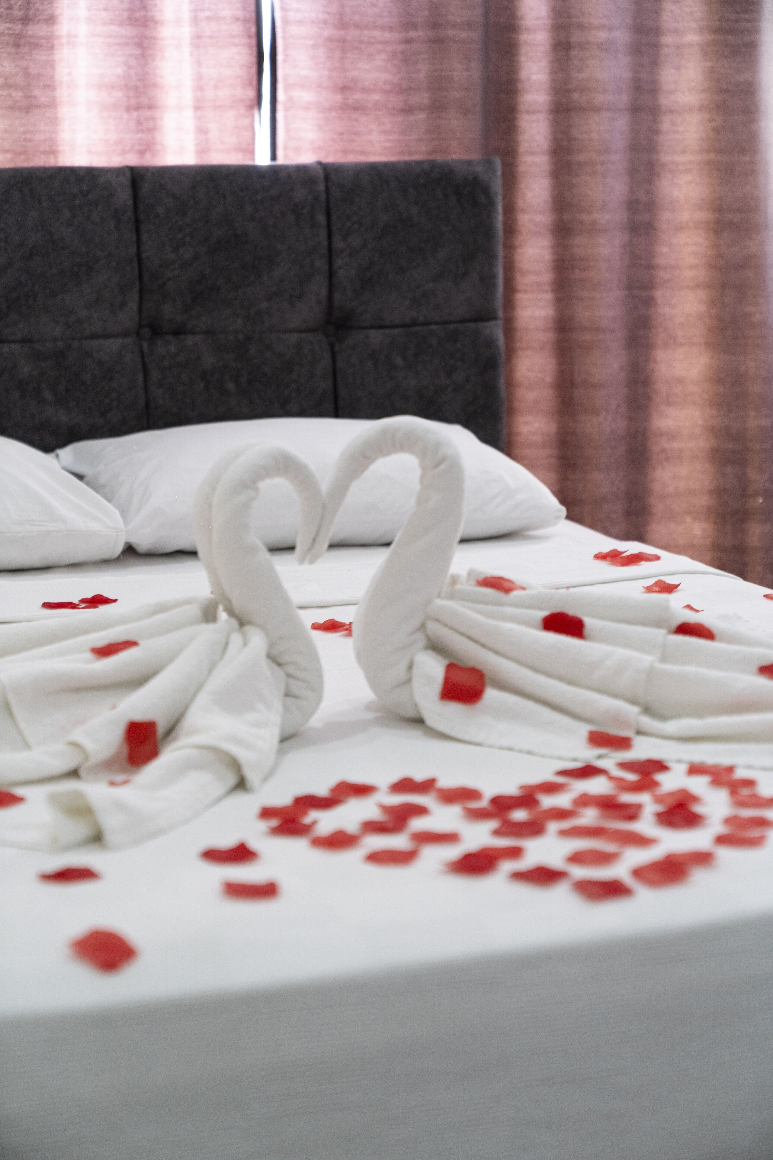 Ayya Suite Hotel