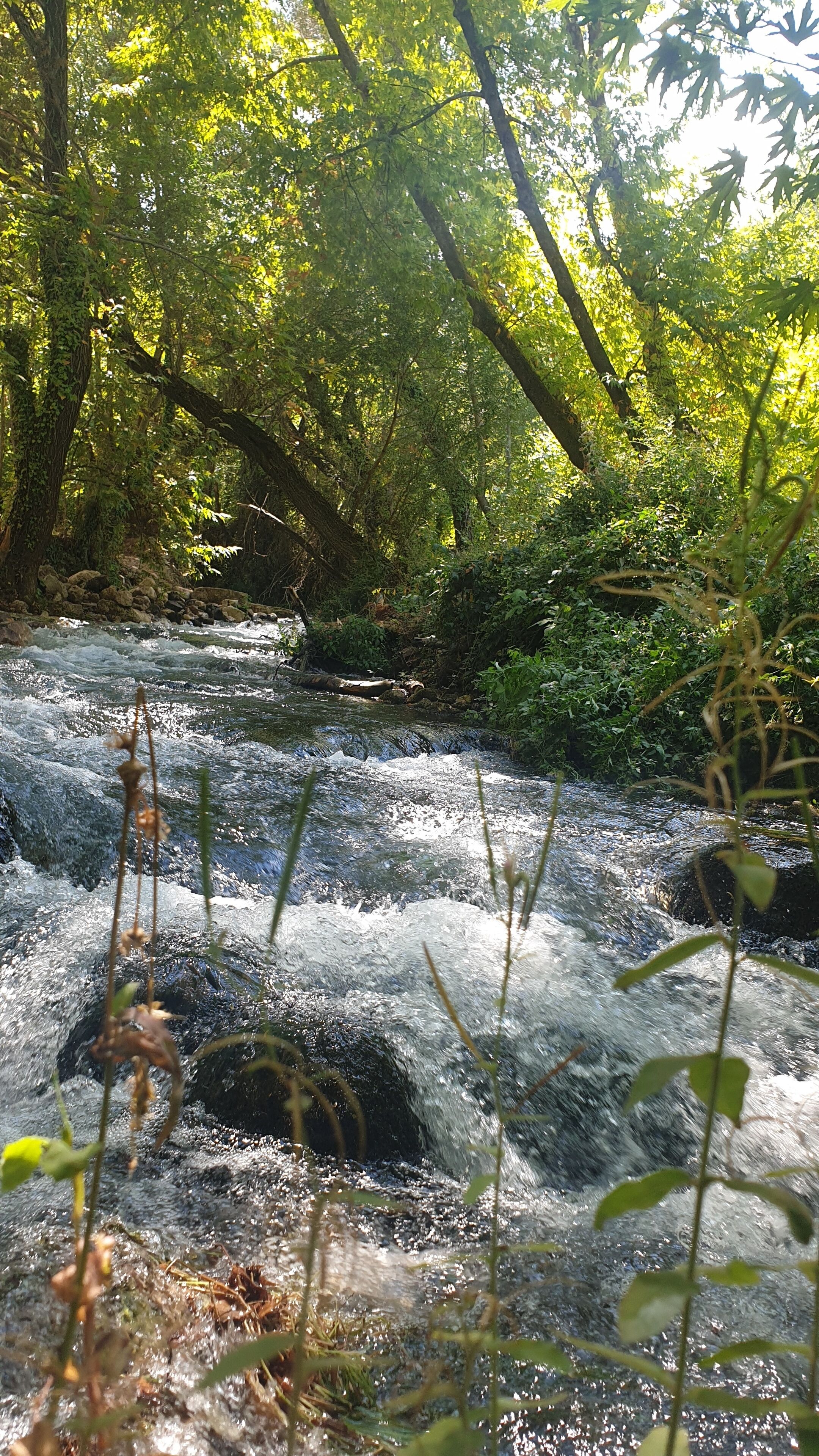 Zeyve Lavanta Tatil Köyü