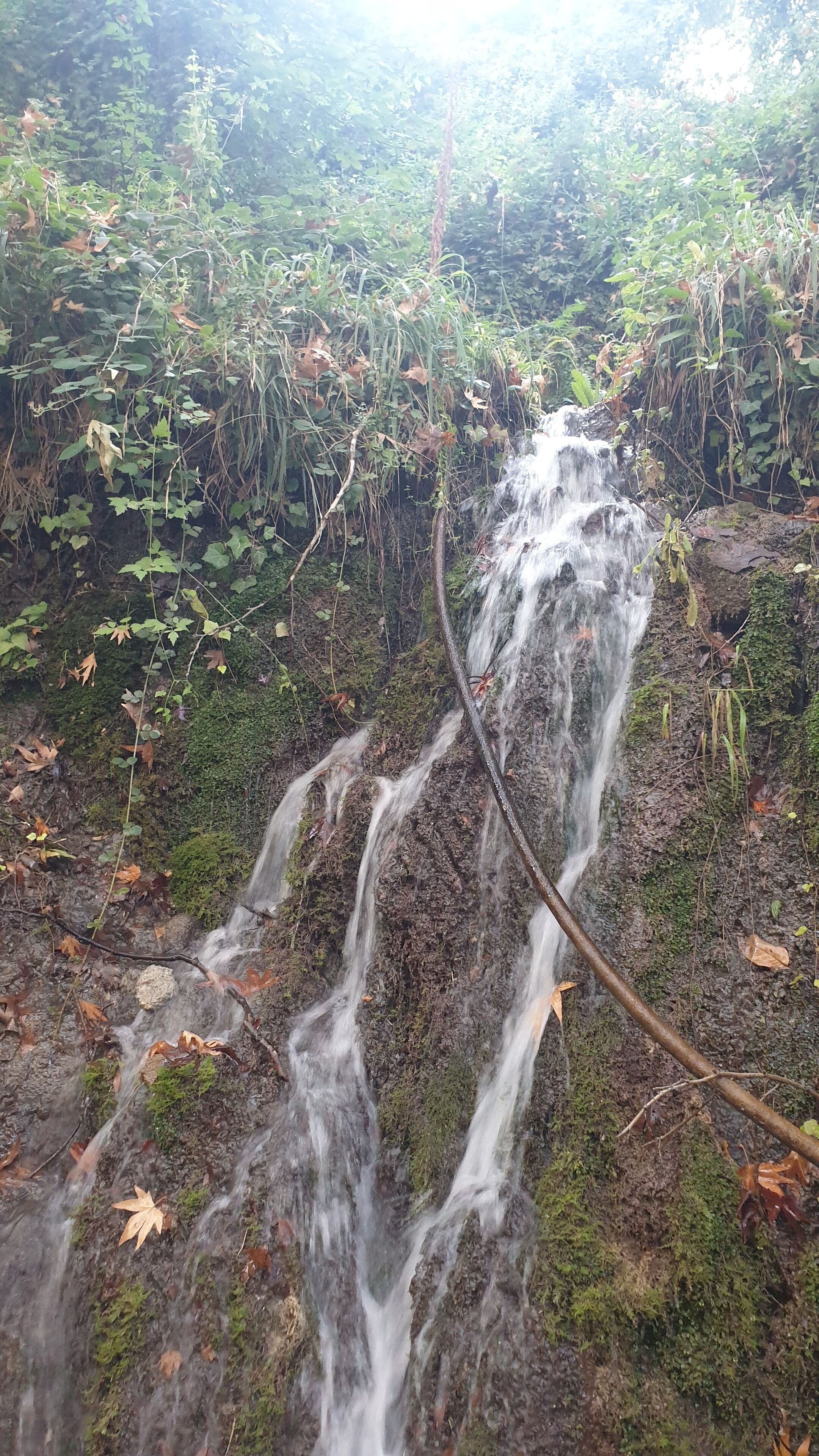 Zeyve Lavanta Tatil Köyü