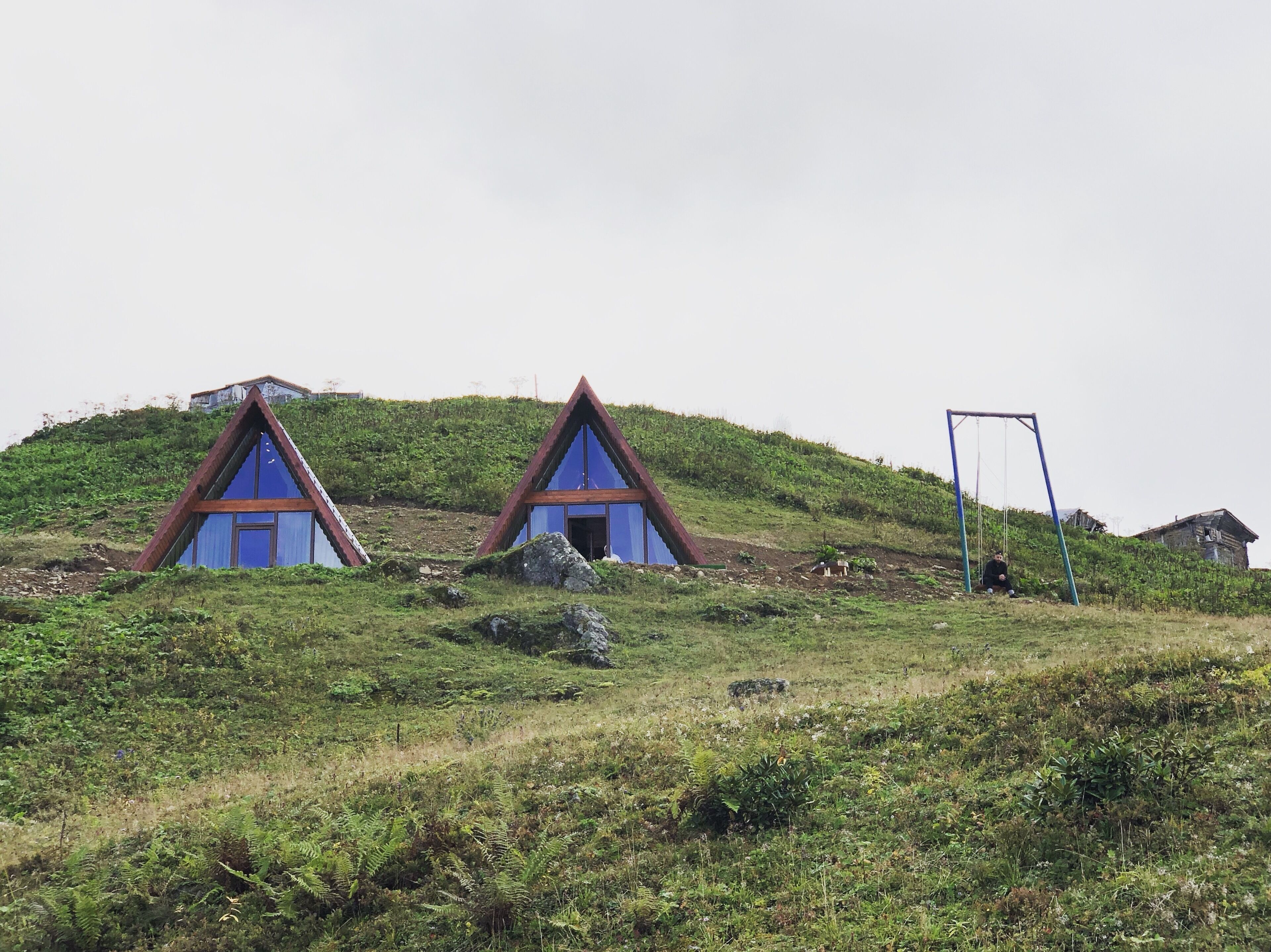 Bear Bungalov