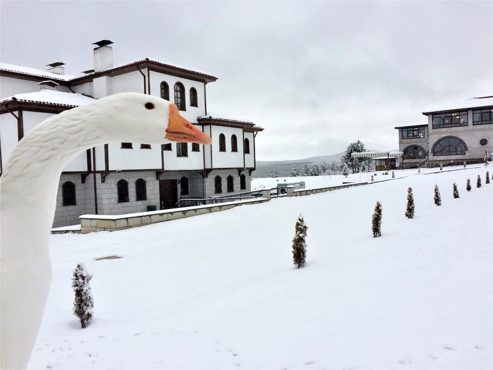 Serife Baci Ogretmenevi Doga Kultur Koyu