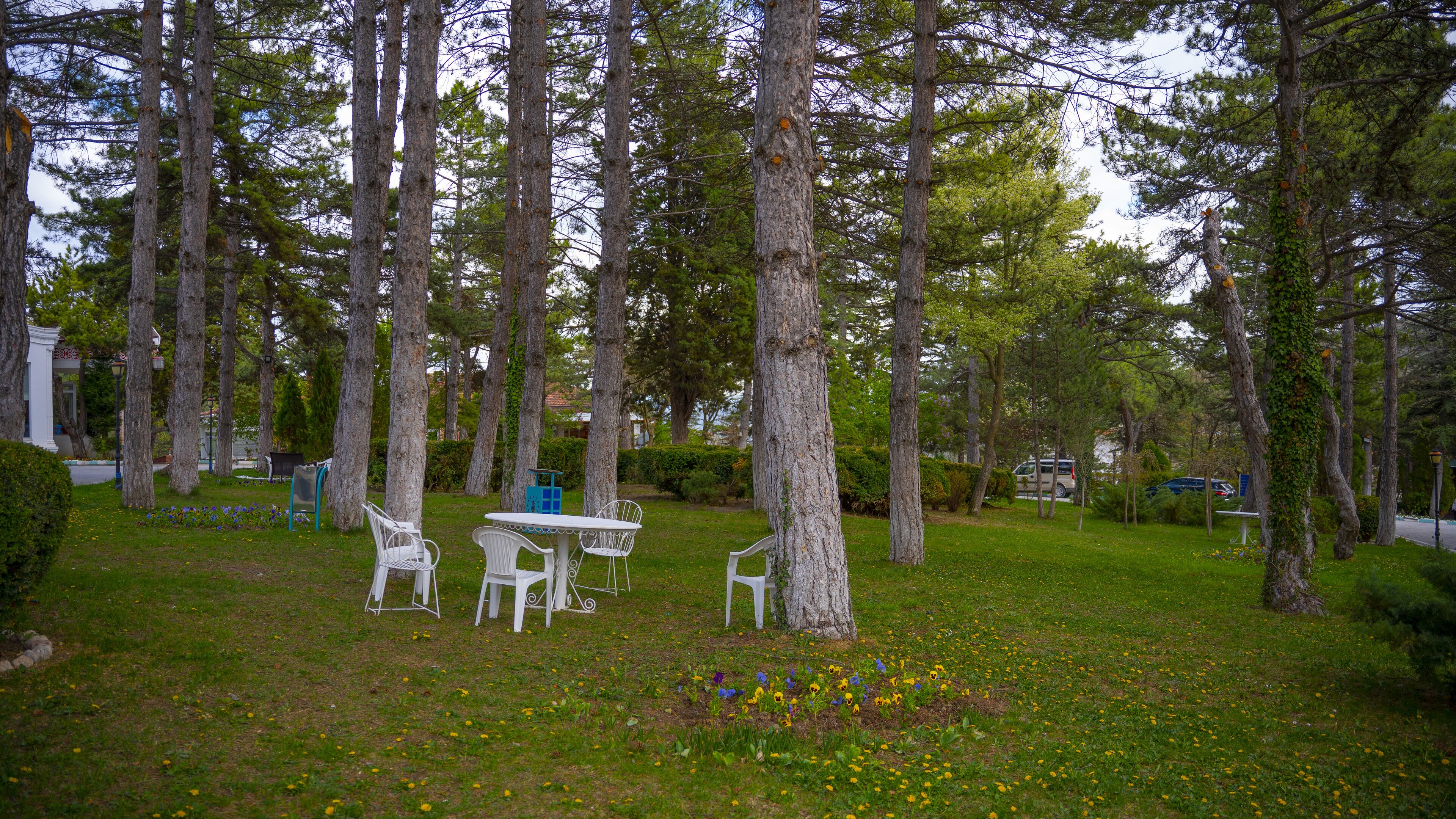 Harlek Termal Otel Wellness & Spa