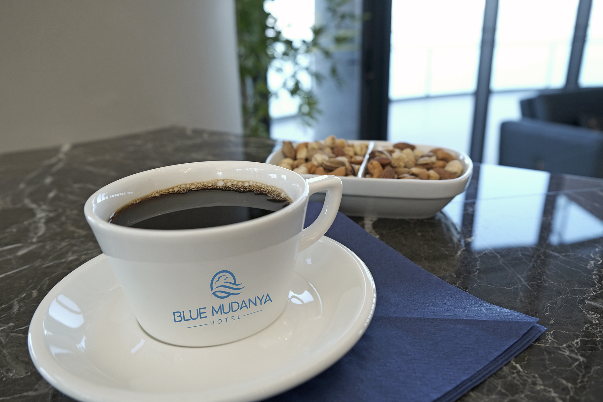 Blue Mudanya Hotel