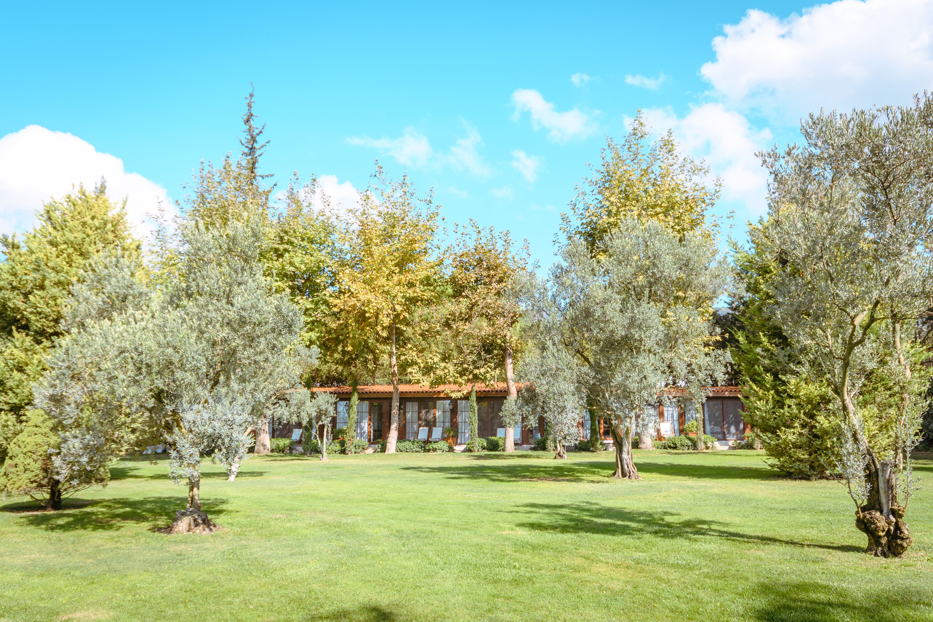The Lake House