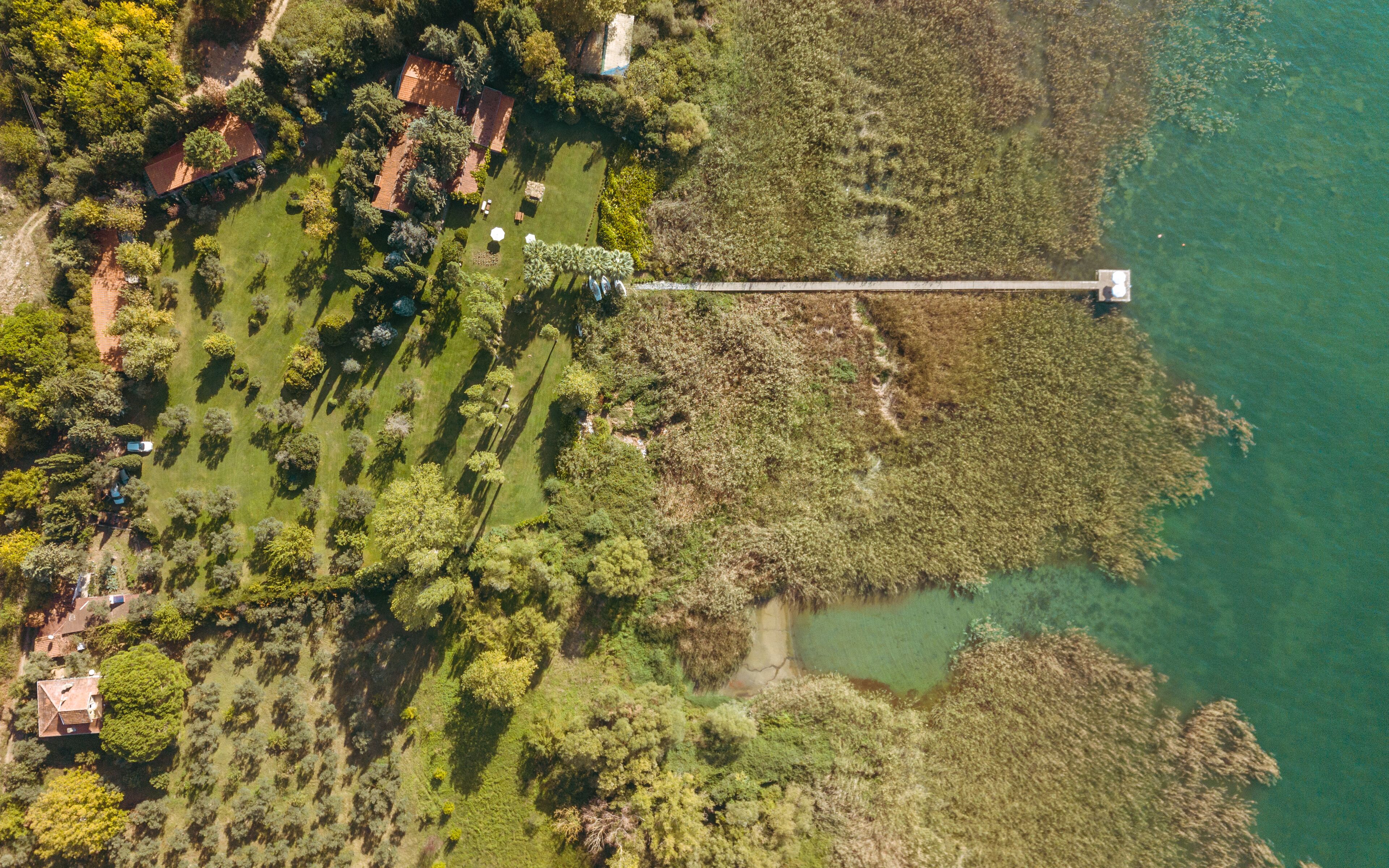 The Lake House